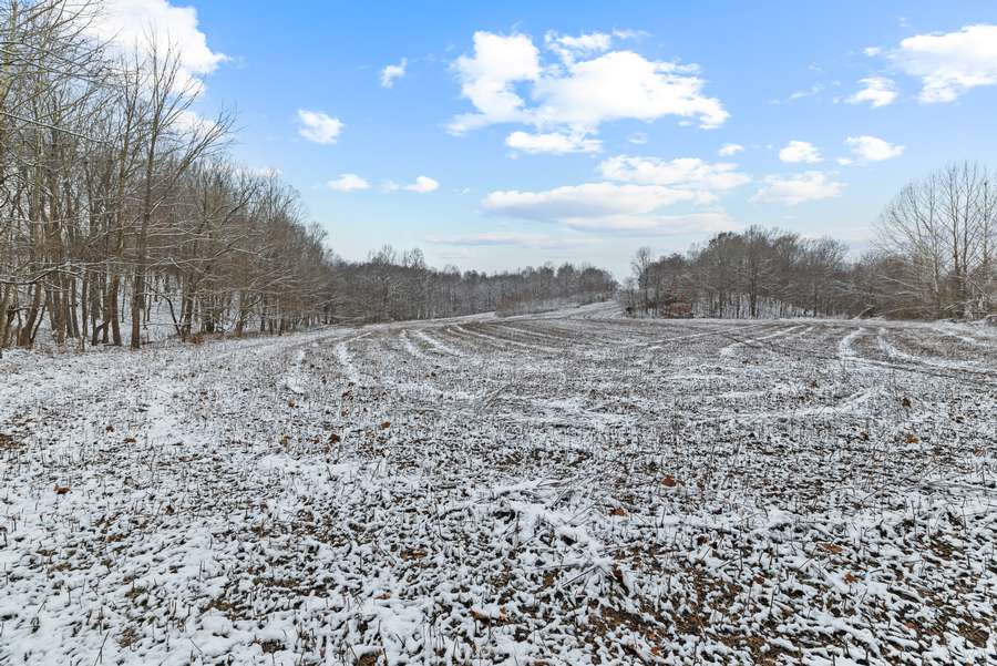 28-0 Waggener Ch-Chalbeate Rd Clay KY 42404_20251203_028.jpg